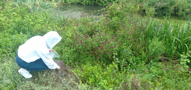 OMÜ Moleküler Biyoloji ve Genetik Bölümü Öğrencilerinin Proje Başarısı