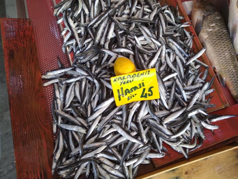 ATAKUM TÜRKİŞ’ TE HAMSİ 45 TL !