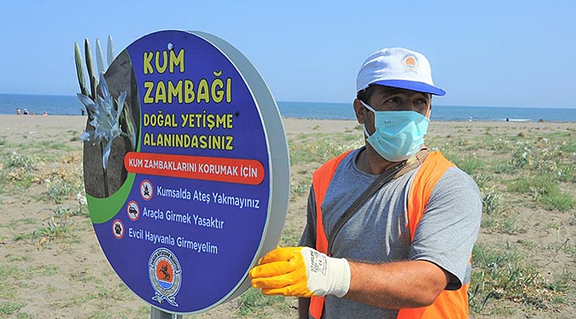 Kum Zambakları’ Koruma Altında