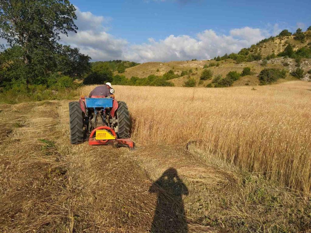 ATIL ARAZİLER ÇİFTÇİLERE CANSUYU OLDU