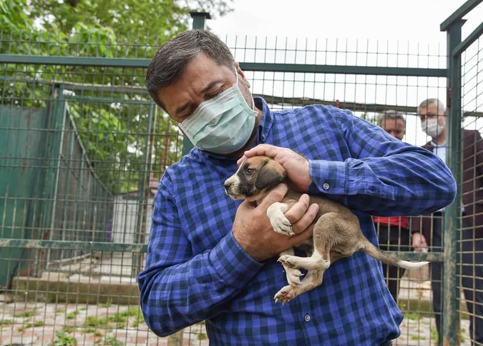 ŞENLİKOĞLU’NUN 4 EKİM DÜNYA HAYVANLARI KORUMA GÜNÜ MESAJI