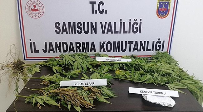 Zehir Tacirlerine Geçit Yok!