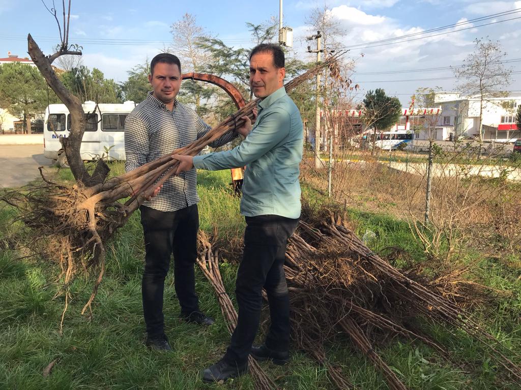 Büyükşehir’den cennet meyvesi desteği