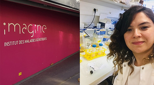 OMÜ Tıp Fakültesi’nden Uluslararası Başarı