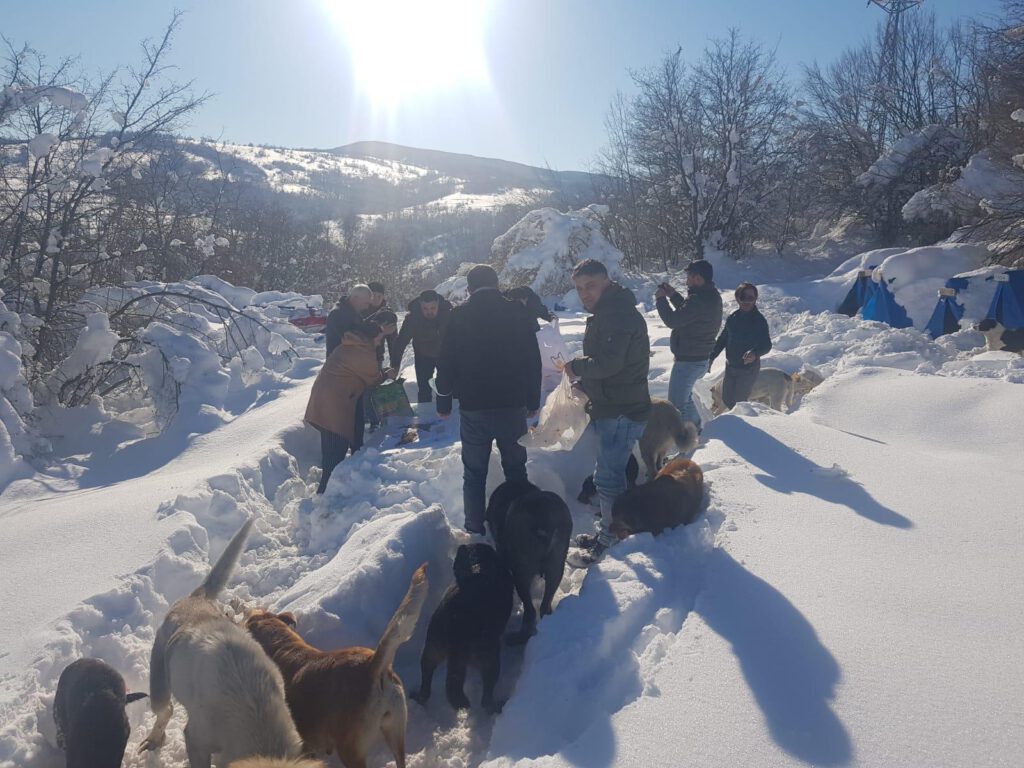 SOKAKTAKİ CANLAR BİZE EMANET!