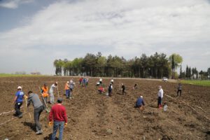 Atakum Belediyesi 2021’de kırsal üretime güç verdi  