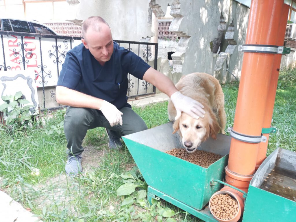 Atakum Belediyesi’nden patili dostlara yıl boyunca destek