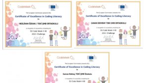 3 ÖĞRETMENE MÜKEMMELLİK SERTİFİKASI