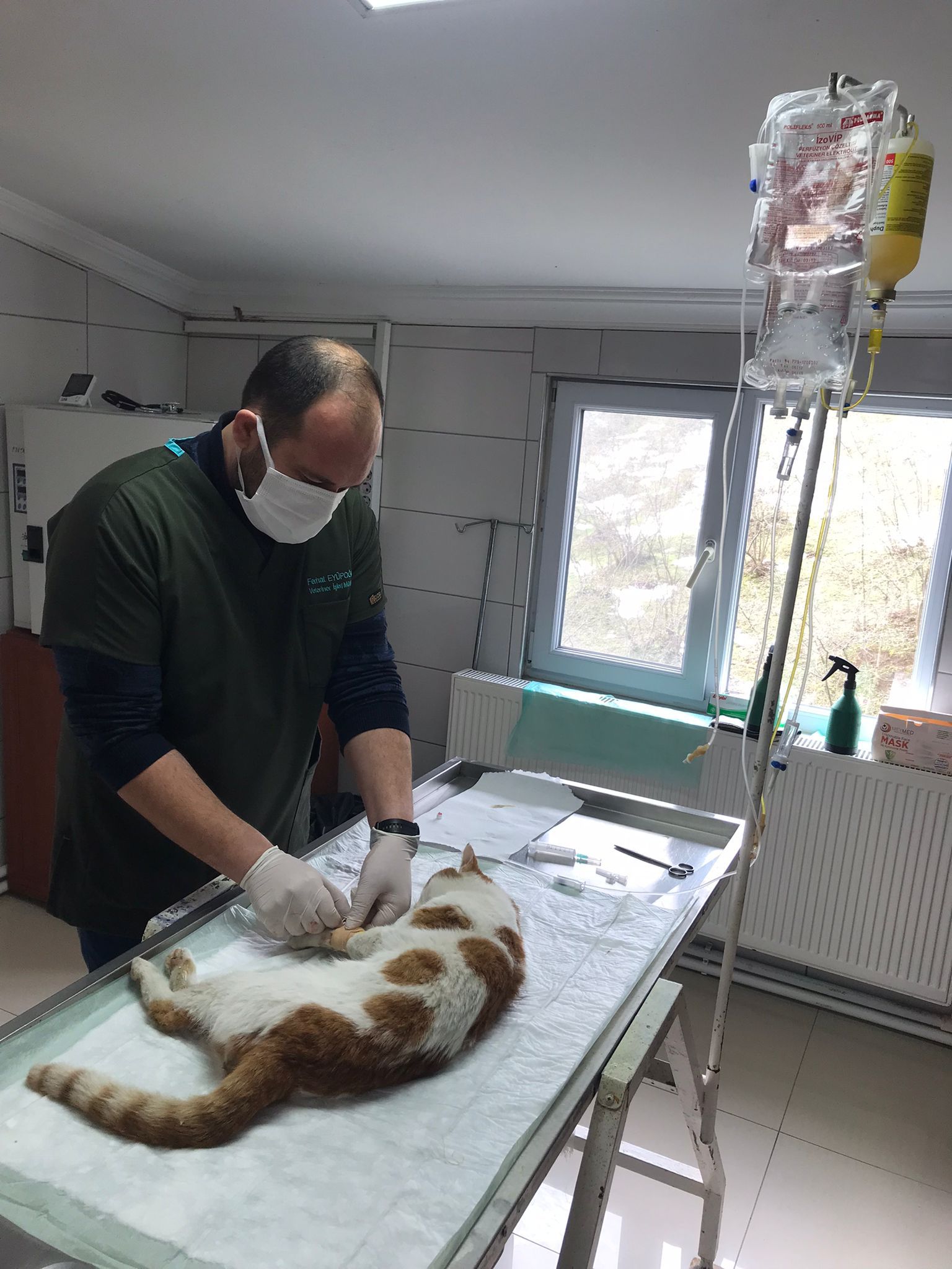 SAHİPSİZ HAYVANLARA HASTANE KONFORUNDA TEDAVİ