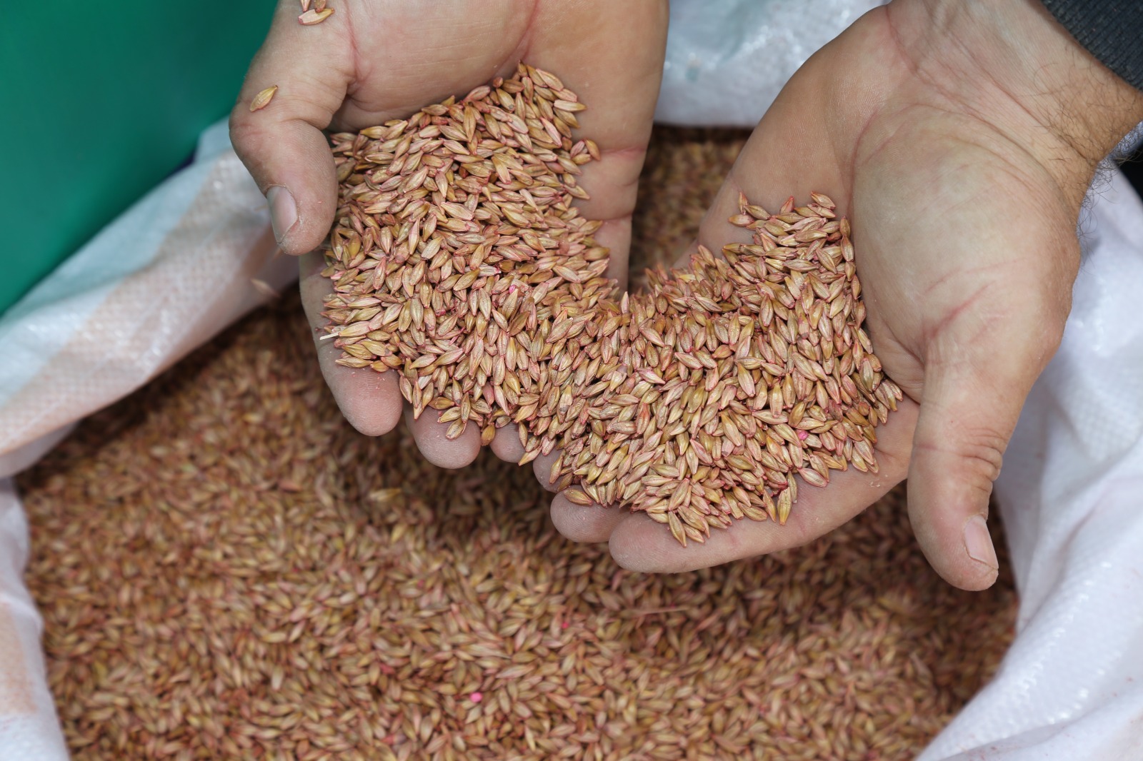 ORDU’DA ÂTIL ARAZİLER ÜRETİME KAZANDIRILIYOR