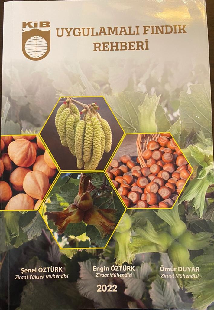 Sevinç, “Dünya fındık tüketiminde rakiplerimize üstünlük sağlamanın çabası içindeyiz.”