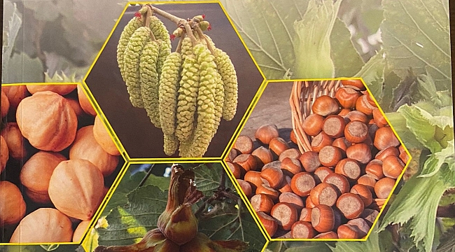 Fındık ihracatçılarından Uygulamalı Fındık Rehberi Kitabı