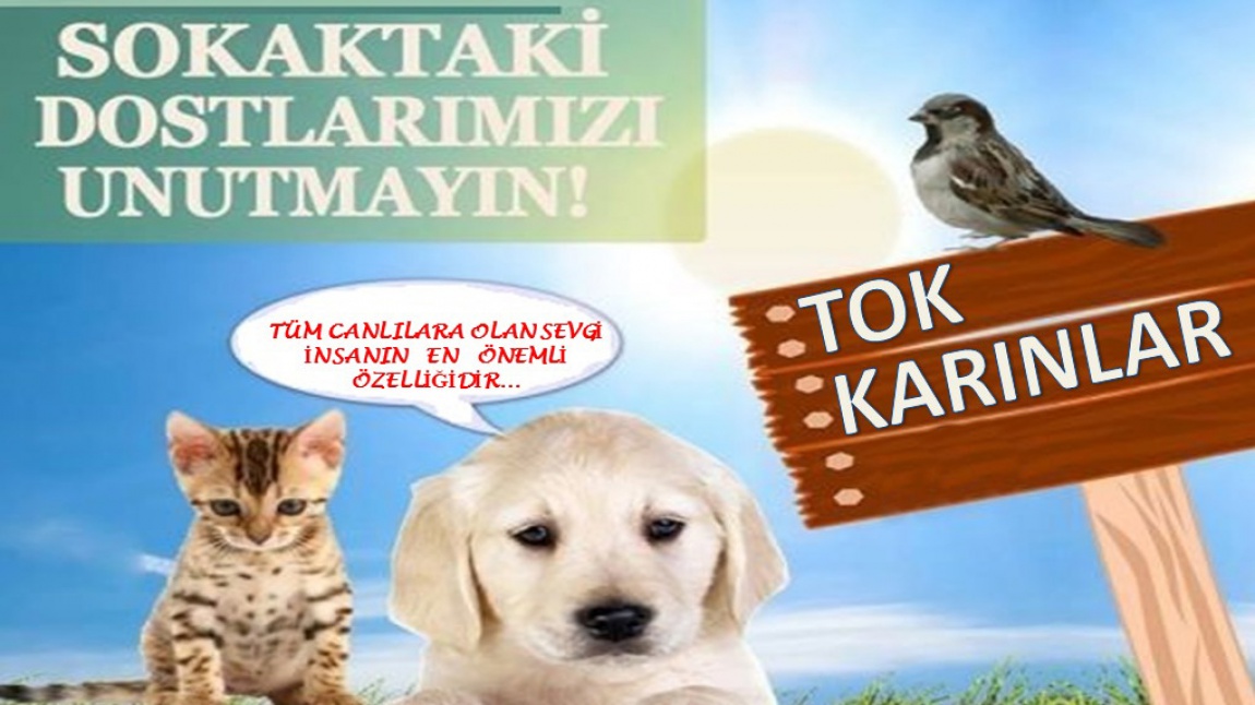 FATİH ORTAOKULU TOK KARINLAR PROJESİ