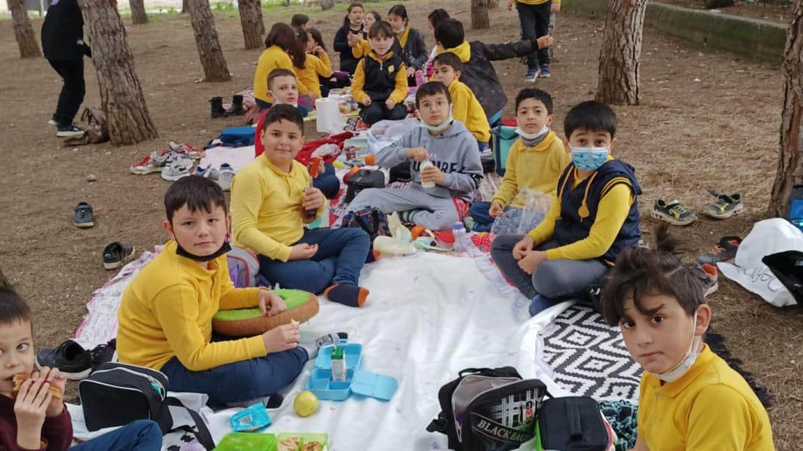 DOĞADA MATEMATİK DERSİ