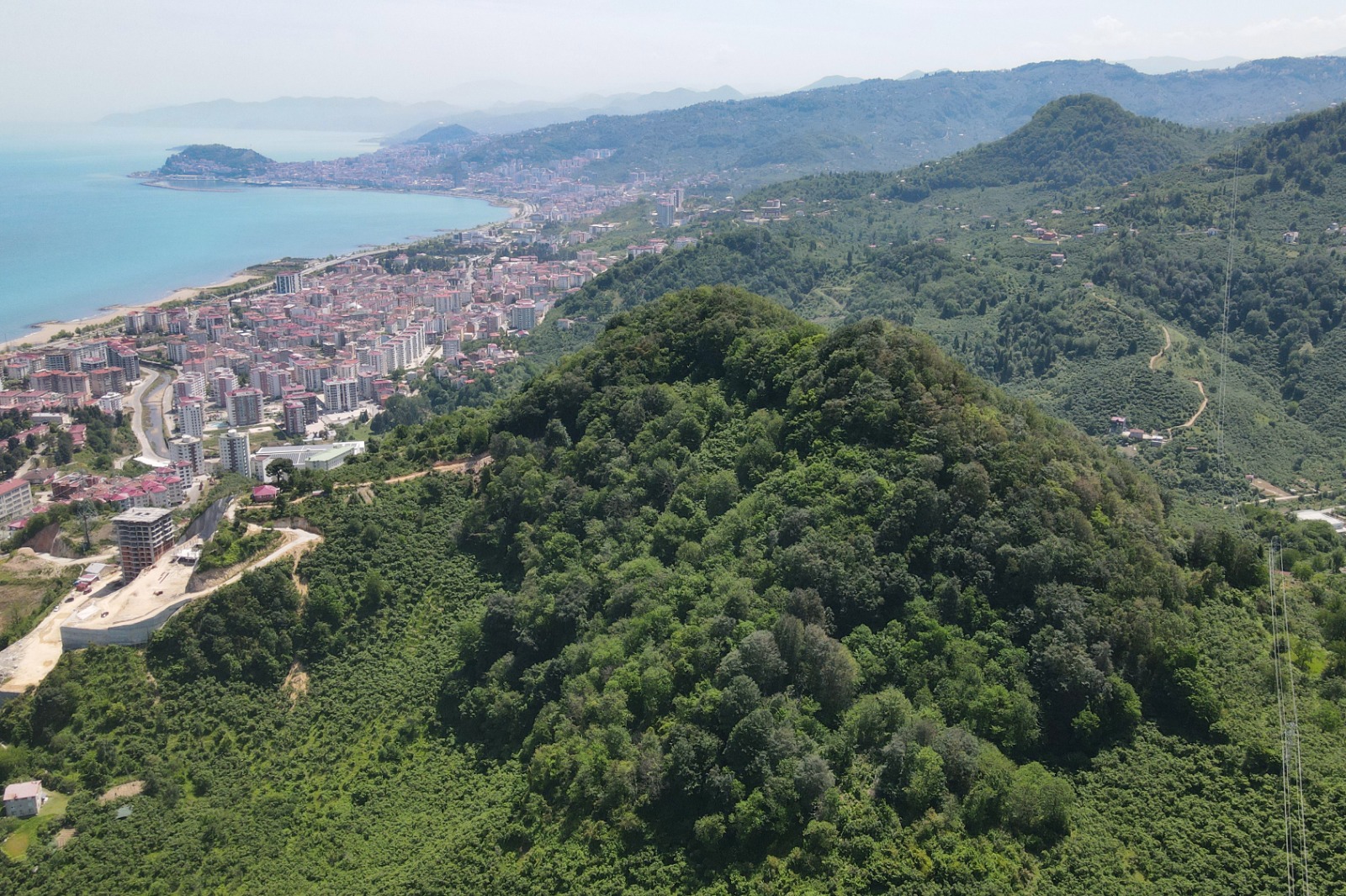 GİRESUN ‘MİLLET ORMANI’ HAYALİNE KAVUŞUYOR