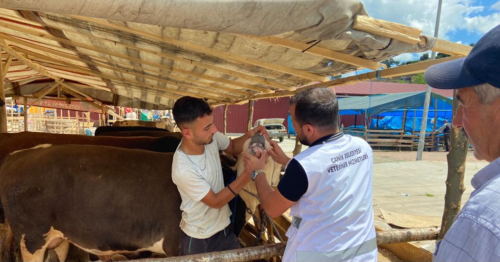 CANİK HAYVAN PAZARINDA DENETİMLER SÜRÜYOR