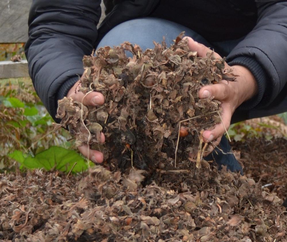 GÜLER, YENİ BİR PROJEYE DAHA İMZA ATTI