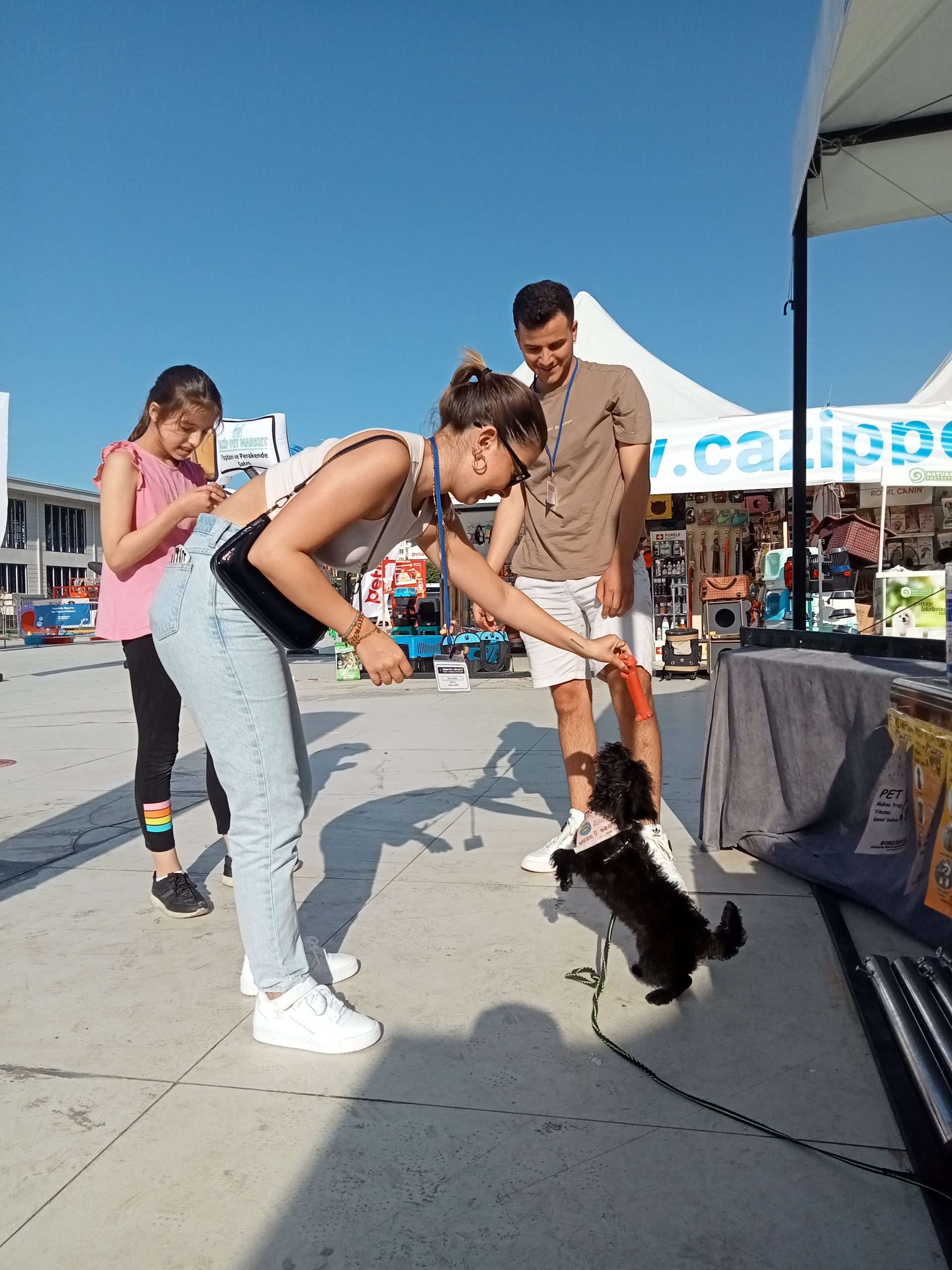 Sokak hayvanları için buluştular