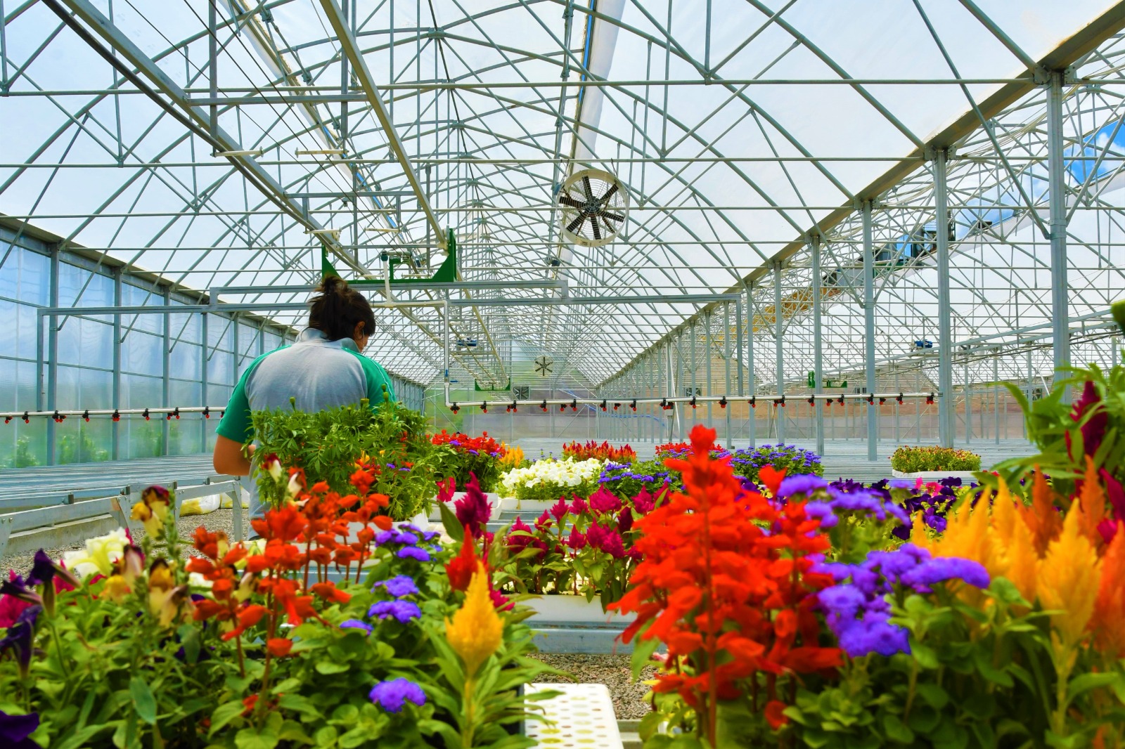 Büyükşehir’in o projesine ödül