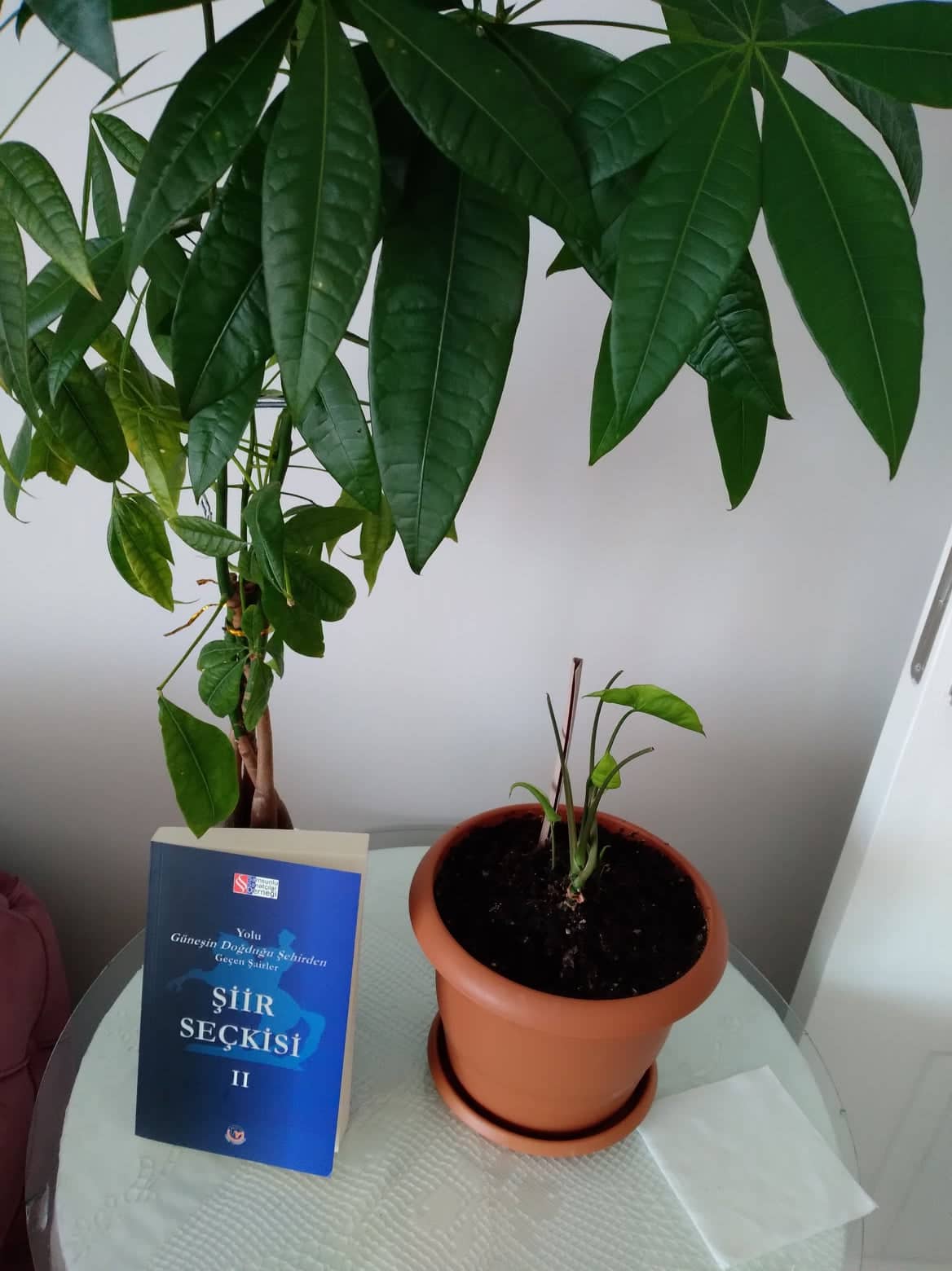 SASAD ŞİİR SEÇKİSİ 2 PİYASAYA ÇIKTI