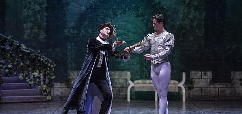 Beyoğlu Kültür Yolu Festivali’nde 17 Ekim’de kuğular süzülecek