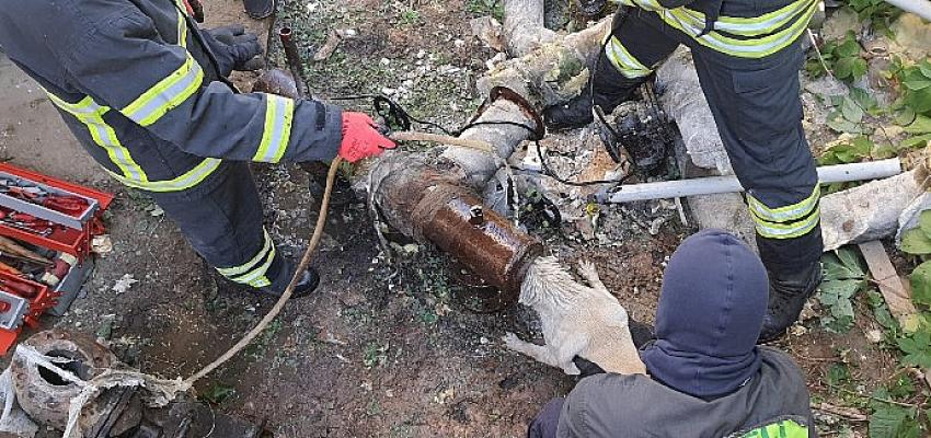 Demir boruya sıkışan köpeği itfaiye kurtardı