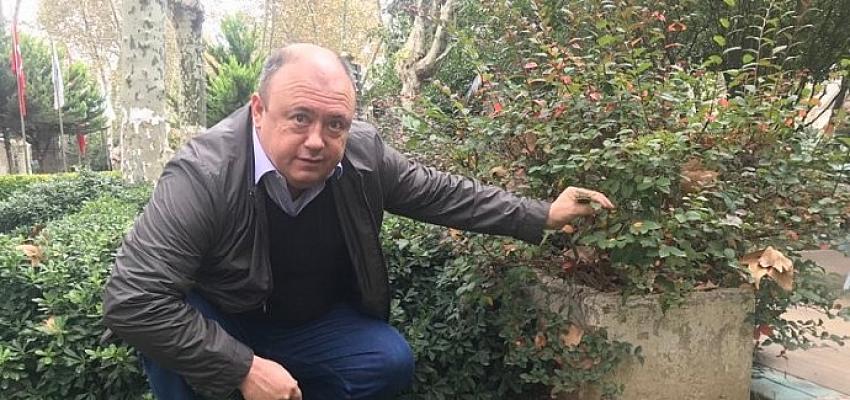 Murat Avcı Kendini Toprağa Adadı