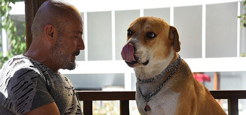 Satın almadılar, sahiplendiler