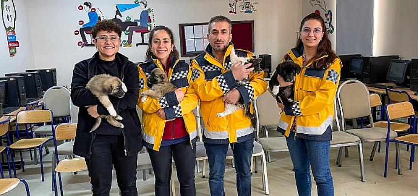 Van Büyükşehir Belediyesi Çocuklara Hayvan Sevgisi Aşılıyor