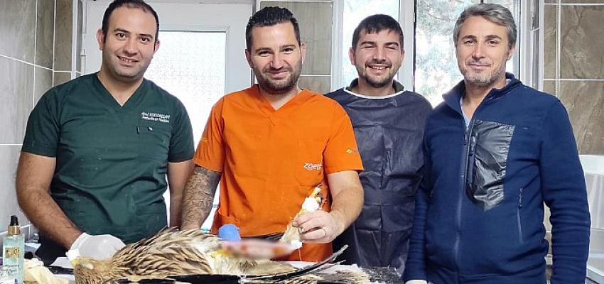 Bakımevimiz Can Dostlarımız İçin Şifa Dağıtıyor