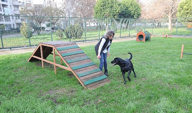 Bayraklı’da evcil hayvanlar için ‘Pati Park’