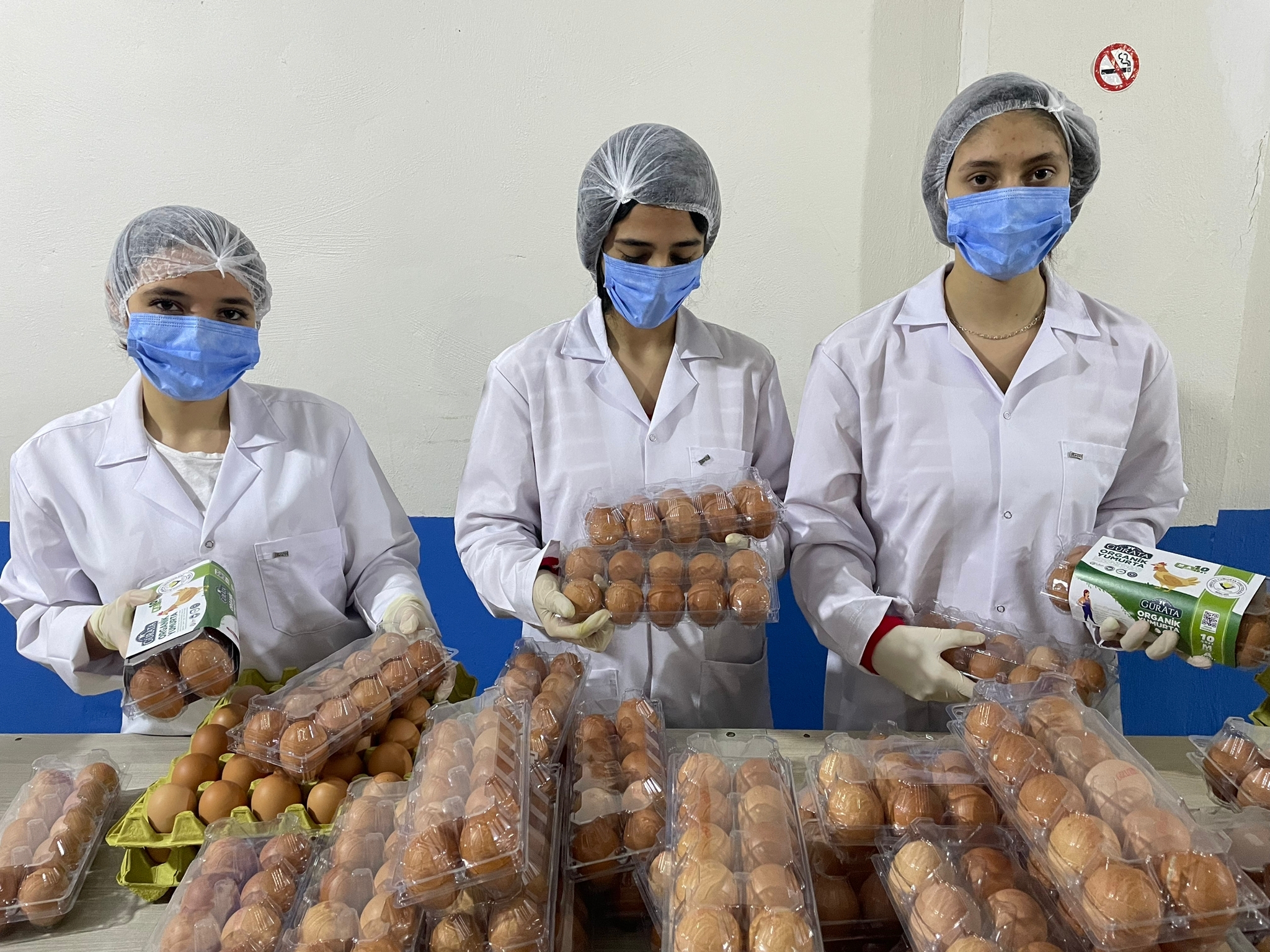 BAE’NİN YUMURTALARI ORDU’DAN