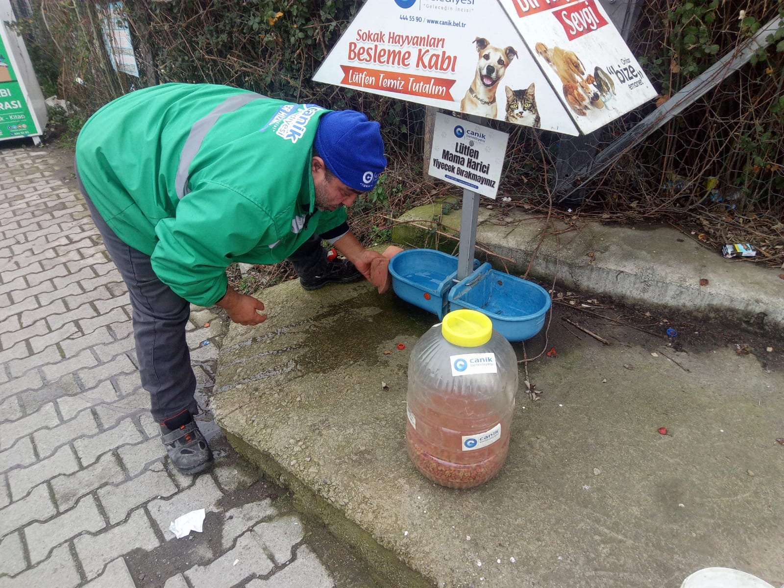 Canik Belediyesi Can Dostları Yalnız Bırakmıyor