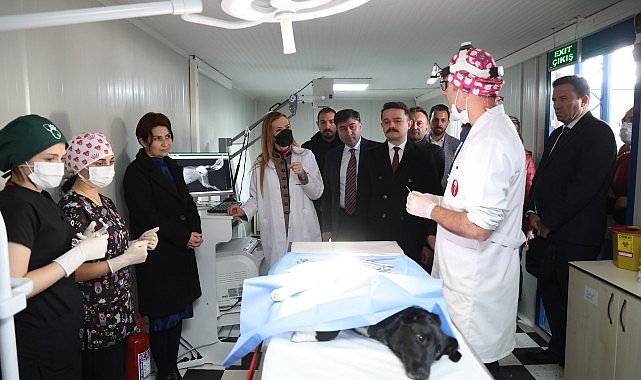 DEÜ’den Can Dostlara Şefkat Eli