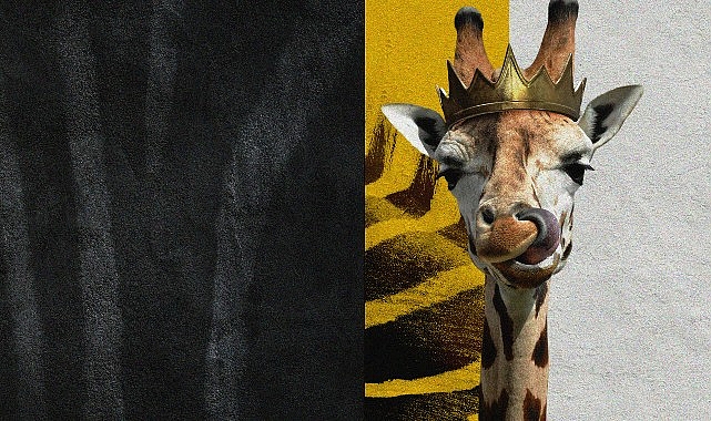 “Disney’in Sihirli Hayvan Krallığı” National Geographic WILD’da