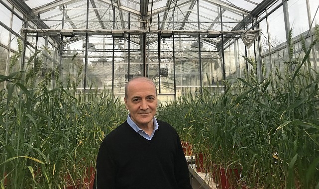 Sabancı Üniversitesi Öğretim Üyesi Prof. Dr. İsmail Çakmak Dünyanın En Etkili Bilim İnsanları Listesinde Türkiye’den Birinci Sırada