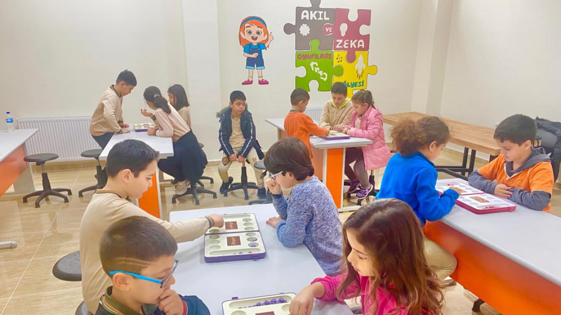 TÜRKİYE AKIL VE ZEKA OYUNLARI TURNUVA FİNALİ