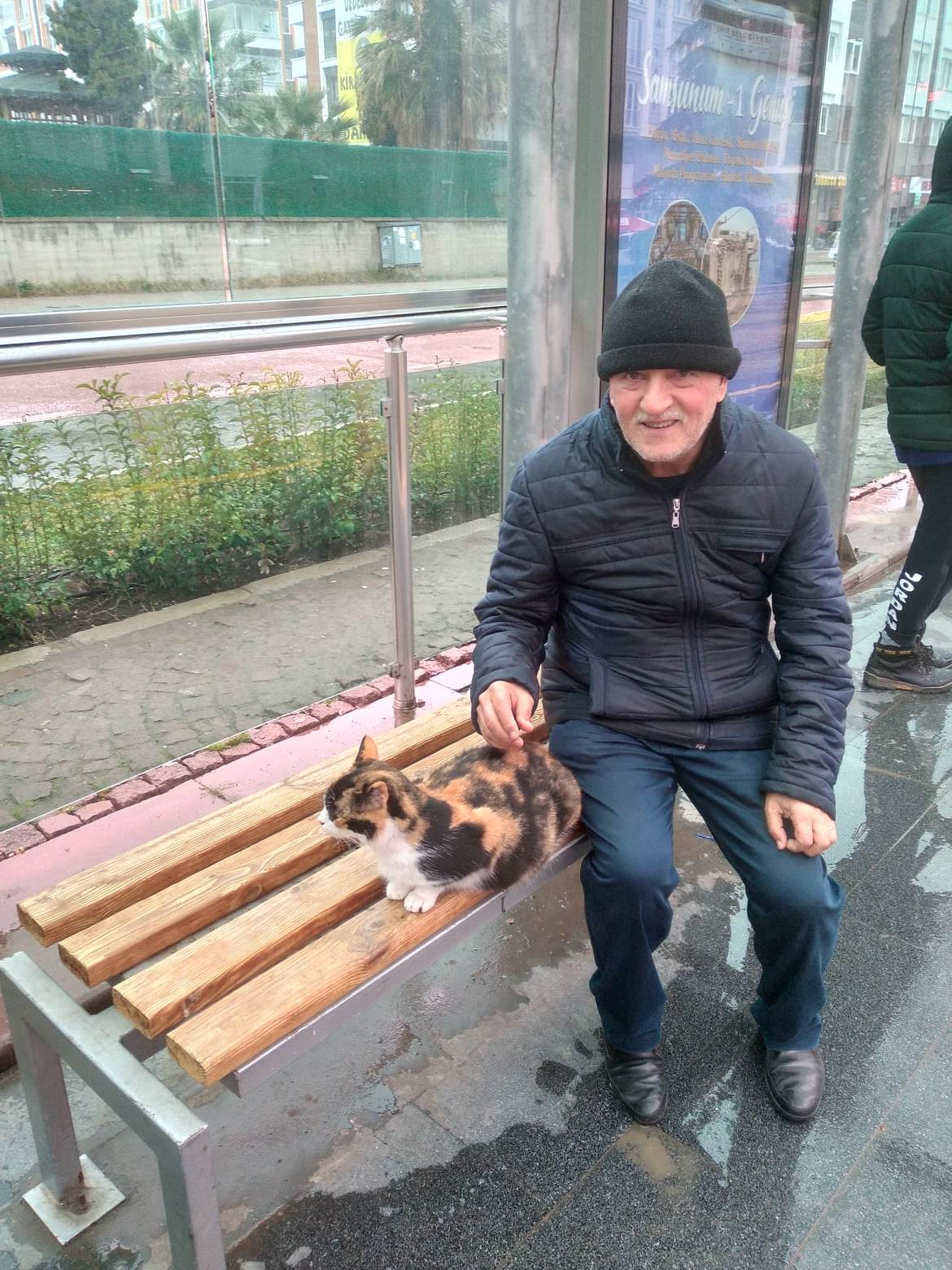 KEDİLER İLGİ ve SEVGİ İSTİYOR