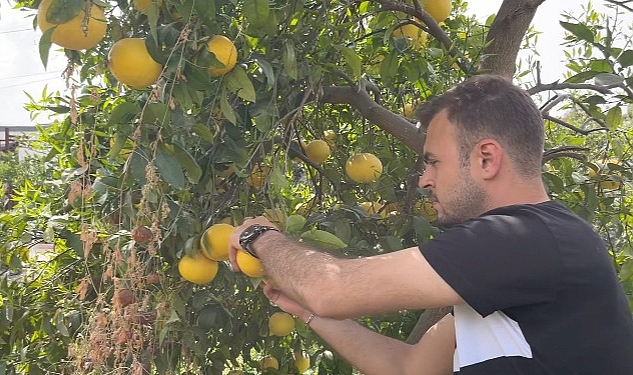 Küçükçekmece Belediyesi’nden Hatay’daki Üreticilere Destek!