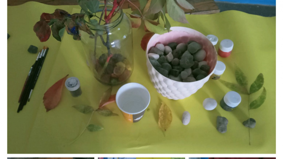 NATÜRALİSTS IN THE CITY e Twinning Projesi