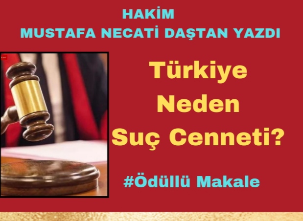 Ödüllü Makale Türkiye Neden Suç Cenneti?