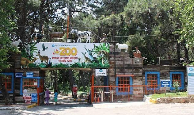 Antalya’da ‘Hayvanat Bahçeleri’ Toplantısı