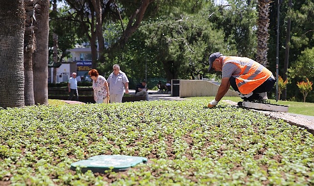 Antalya bu yaz çiçek bahçesine dönecek