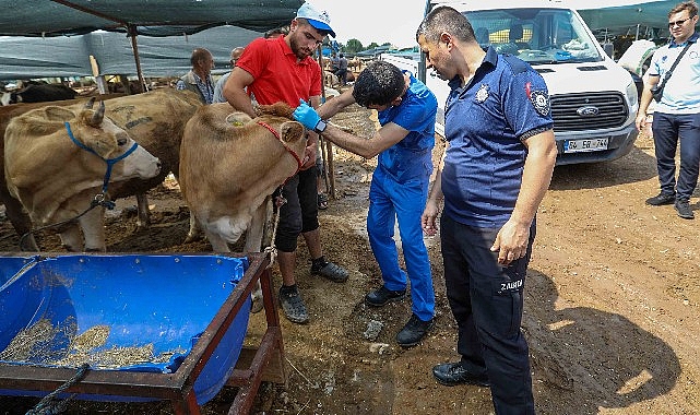 Buca Belediyesi’nde Kurban Bayramı mesaisi