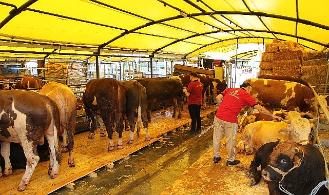 İstanbul Kurban Bayramına hazır