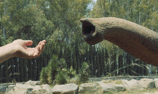 İstanbul Modern Sinema’da Unutma Biçimleri