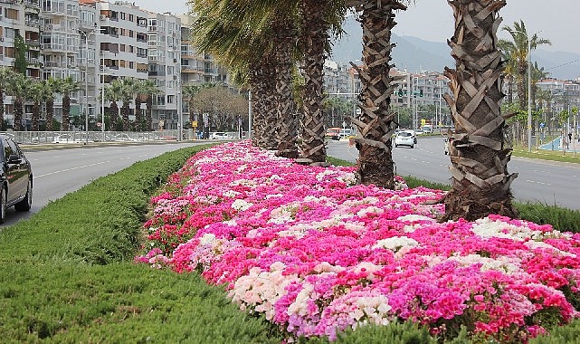 İzmir çiçek açtı