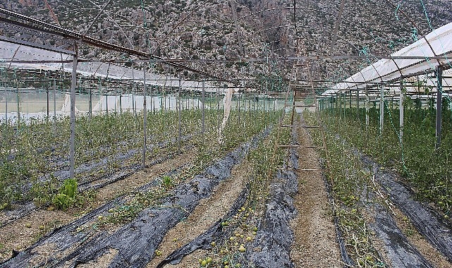 Korkuteli Kayabaş’ı hortum ve dolu vurdu