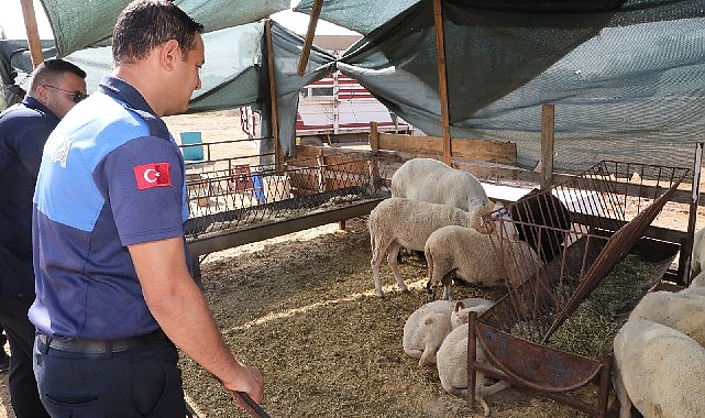 Menderes’te Kurban Denetimi