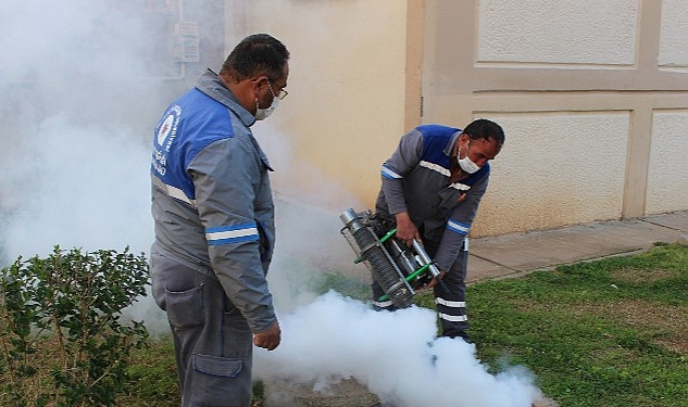 Sineksiz yaz için ilaçlama ordusu iş başında